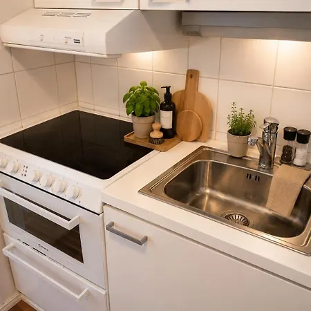 In The Heart Of A Cozy Apartment *